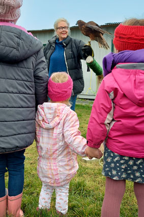 Family visiting the Raptor Experience and meeting Tom the Kahu